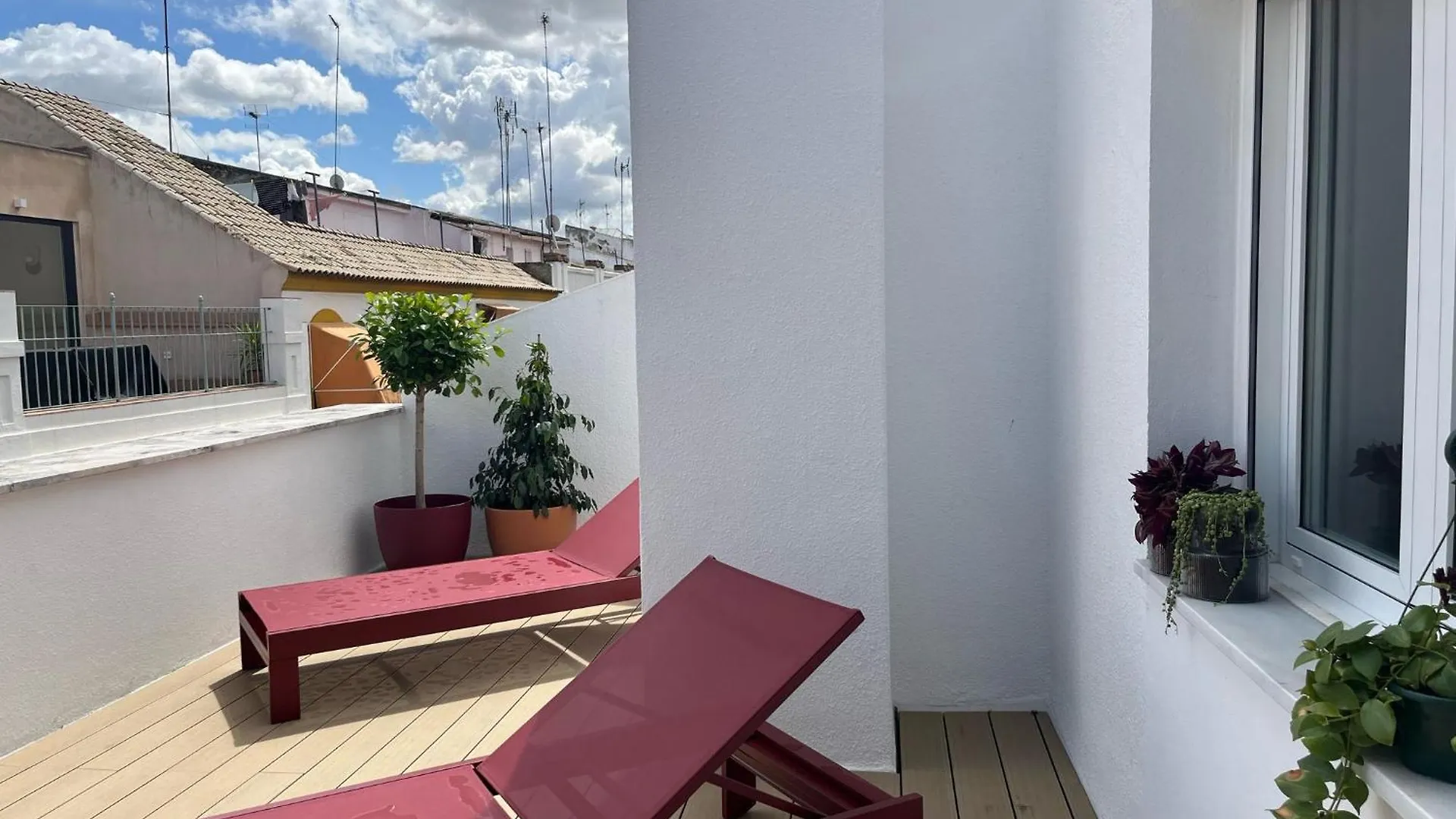 Apartament Galera Donkey Terraza Privada Sewilla